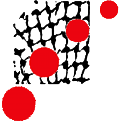 Comunitat Palestina de Catalunya